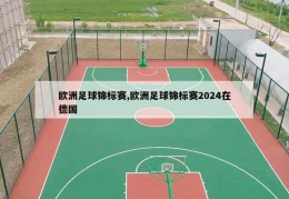 欧洲足球锦标赛,欧洲足球锦标赛2024在德国