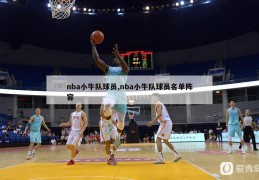 nba小牛队球员,nba小牛队球员名单阵容