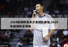 2024欧洲杯有多少支球队参加,2024年欧洲杯足球场