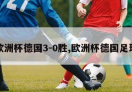 欧洲杯德国3-0胜,欧洲杯德国足球