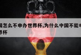 中国怎么不申办世界杯,为什么中国不能申办世界杯