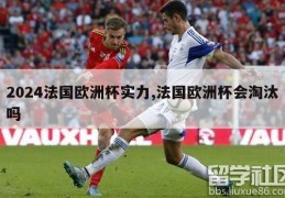 2024法国欧洲杯实力,法国欧洲杯会淘汰吗