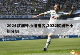 2024欧洲杯小组排名,2022欧洲杯小组分组