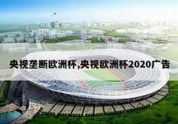 央视垄断欧洲杯,央视欧洲杯2020广告