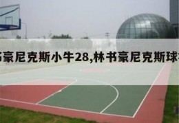 林书豪尼克斯小牛28,林书豪尼克斯球衣号码