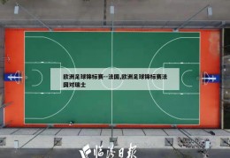 欧洲足球锦标赛--法国,欧洲足球锦标赛法国对瑞士