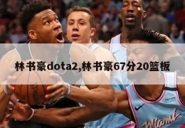 林书豪dota2,林书豪67分20篮板