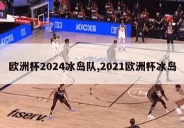 欧洲杯2024冰岛队,2021欧洲杯冰岛