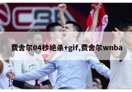 费舍尔04秒绝杀+gif,费舍尔wnba