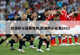 欧洲杯小组赛视频,欧洲杯小组赛2021